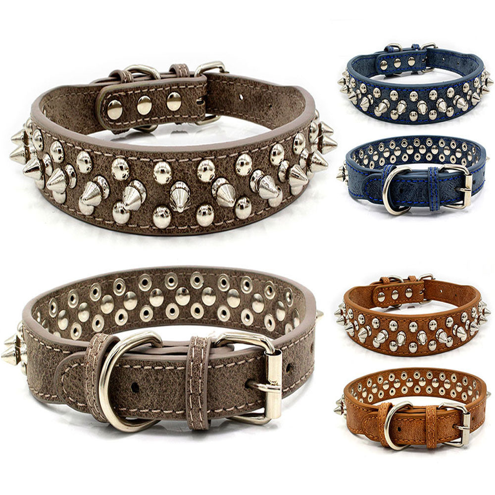 Pet Collars & Harnesses