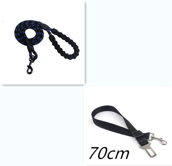 Pet Collars & Harnesses