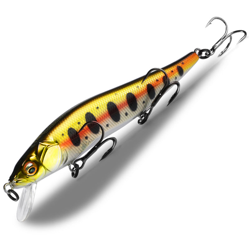 Fishing Baits & Lures 