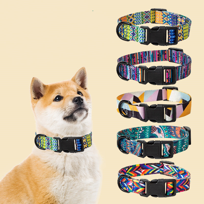 Pet Collars & Harnesses