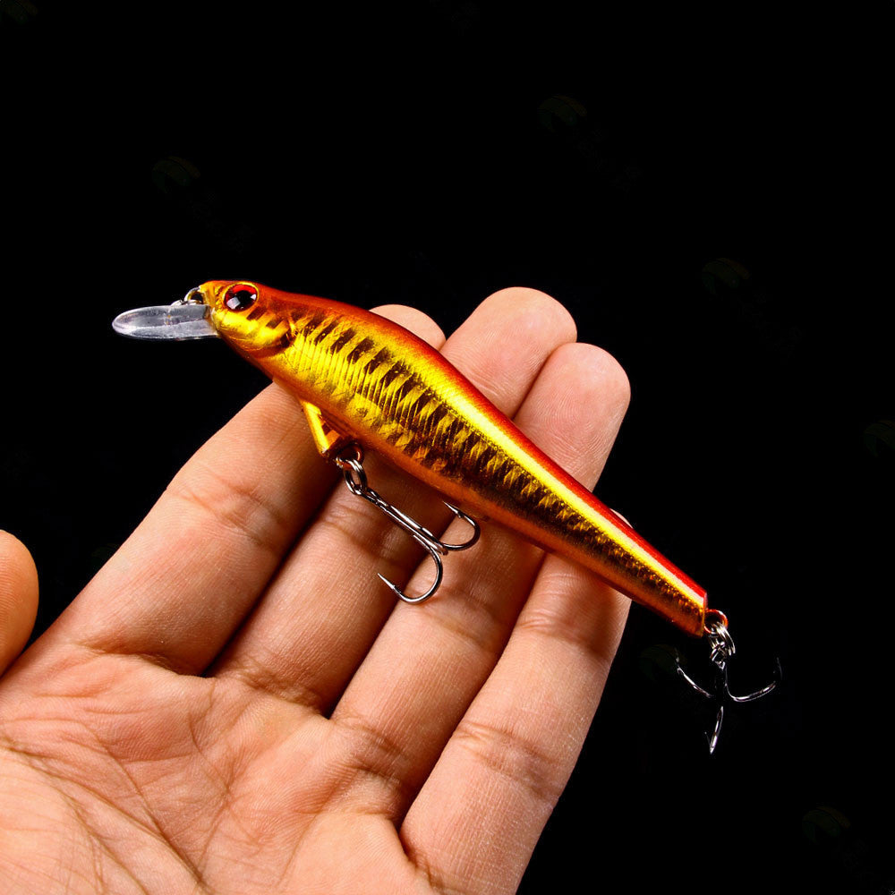 Fishing Baits & Lures