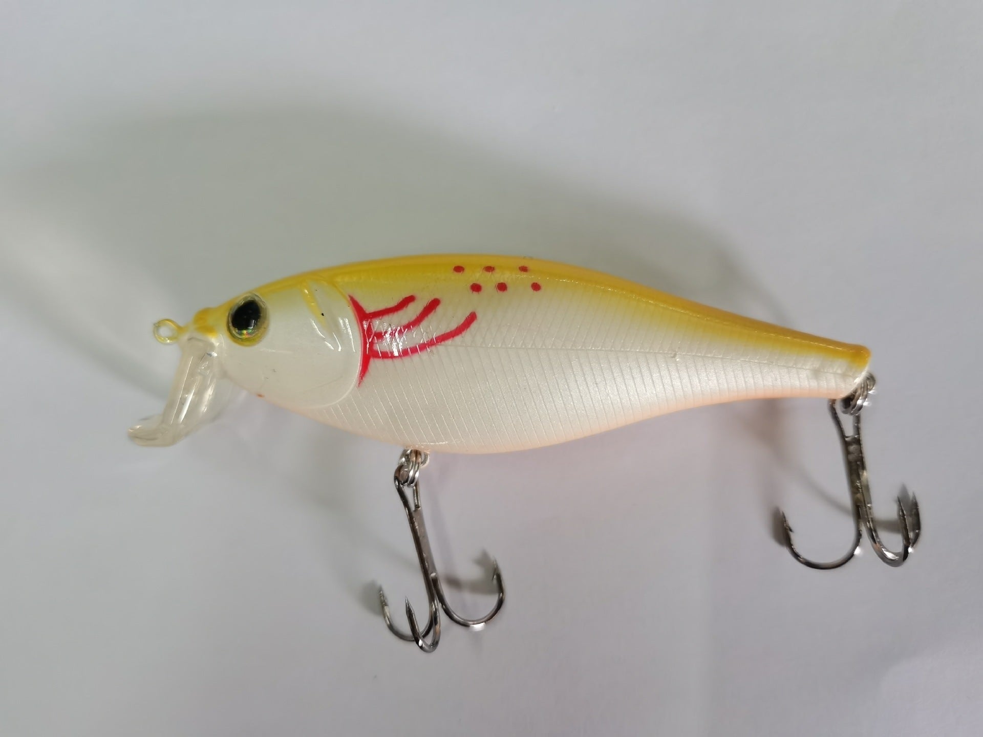 Fishing Baits & Lures