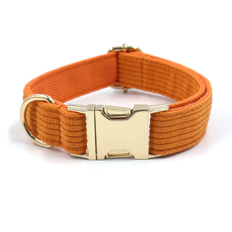 Pet Collars & Harnesses