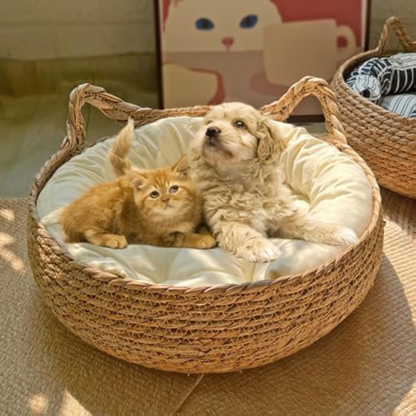 Natural Woven Cat Bed