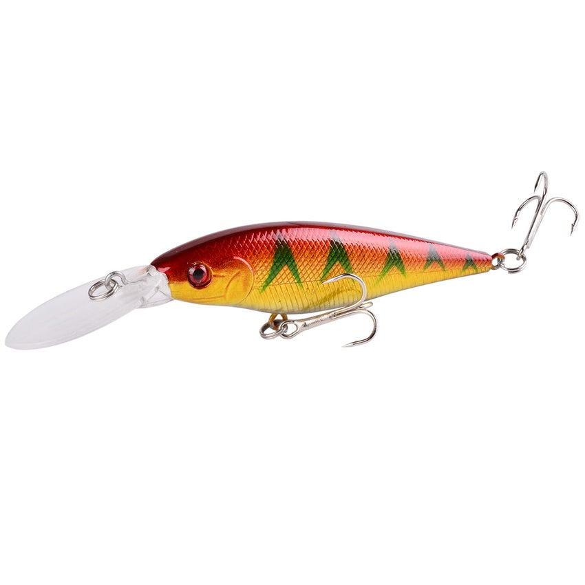 Fishing Baits & Lures