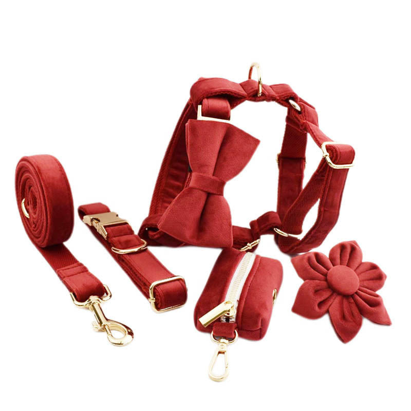 Pet Collars & Harnesses