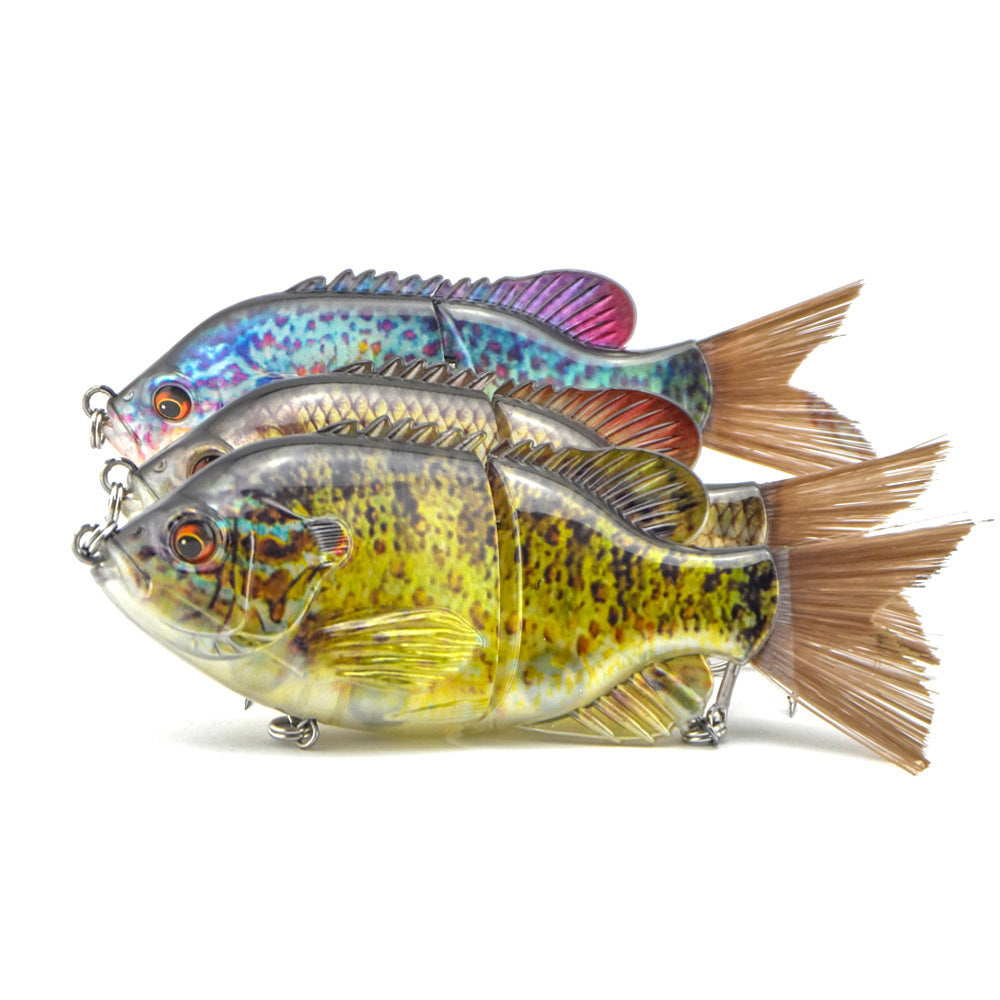 Fishing Baits & Lures