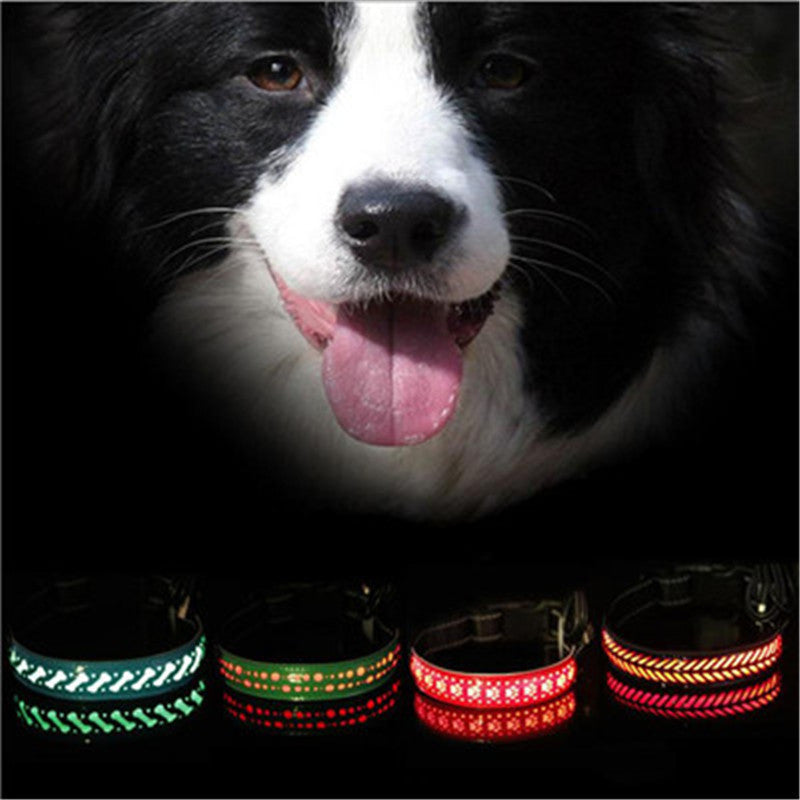 LED light collar