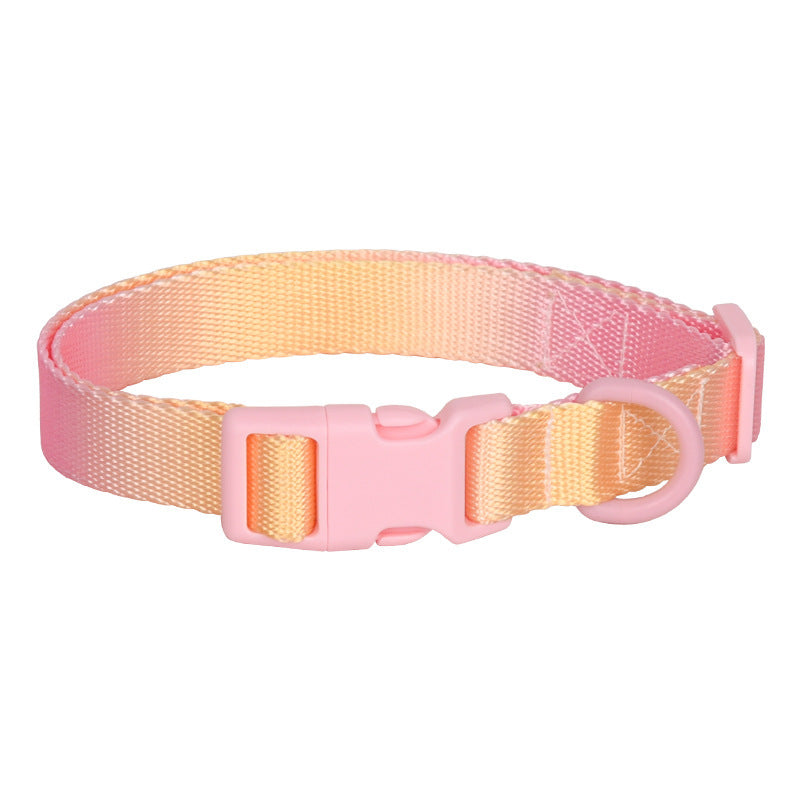 Collier en nylon réglable pour chien et chat, petit collier pour chien, dégradé, accessoire tendance pour petits, moyens et grands chiens