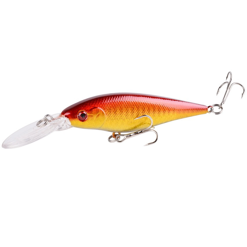 Fishing Baits & Lures