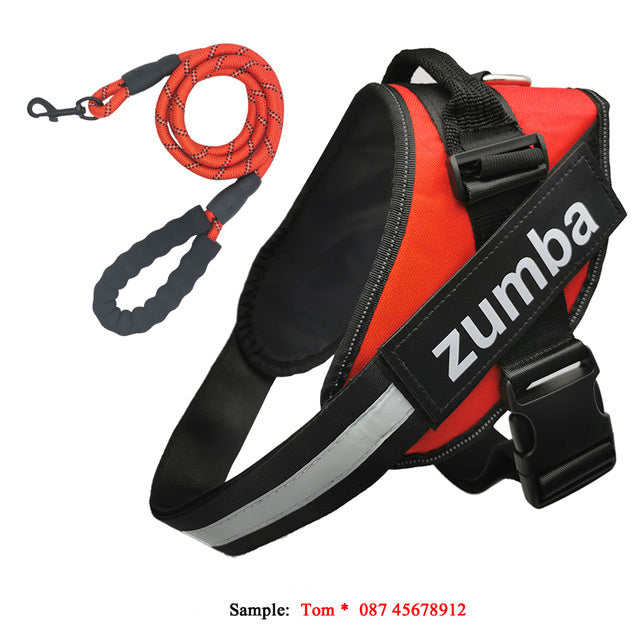 Personalized Dog Harness and Leash Set