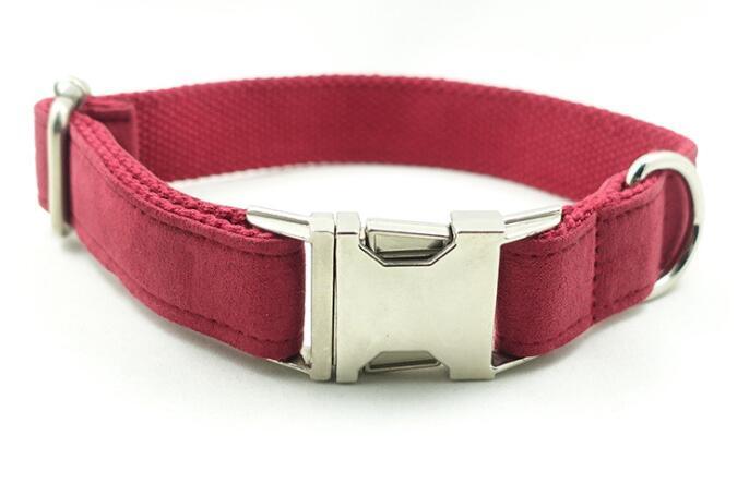 Pet Collars & Harnesses