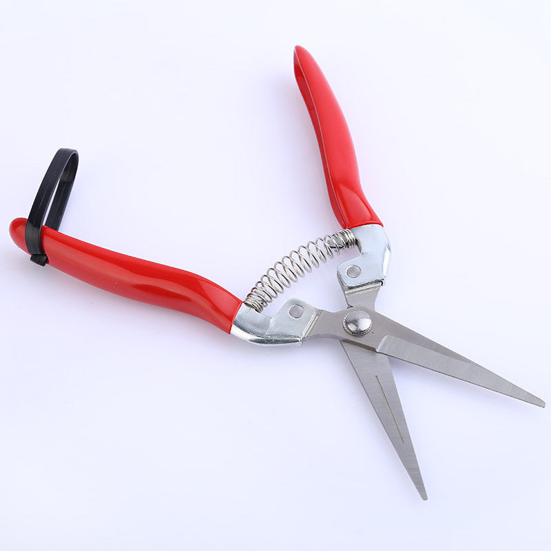 pruning shears