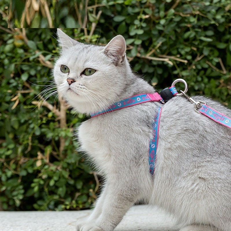 Pet Cat Bell Chest Strap