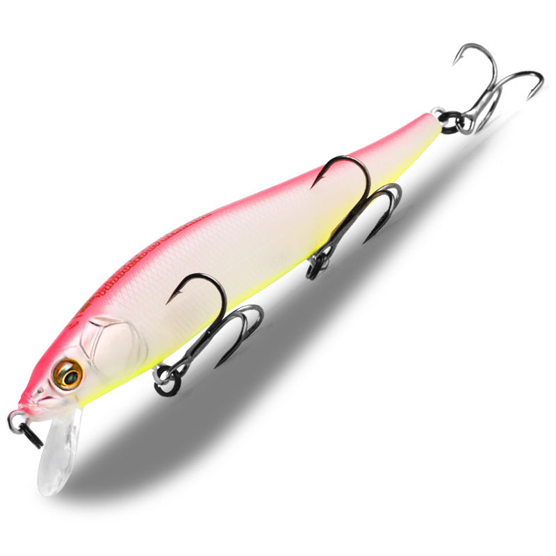 Fishing Baits & Lures 