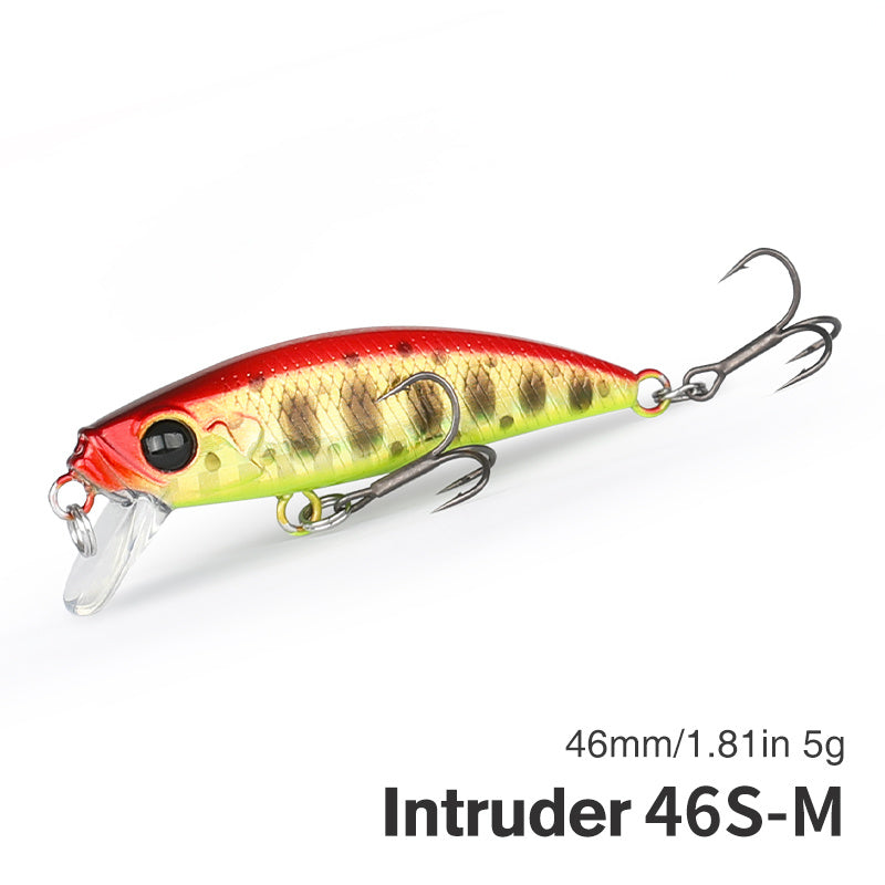 Fishing Baits & Lures