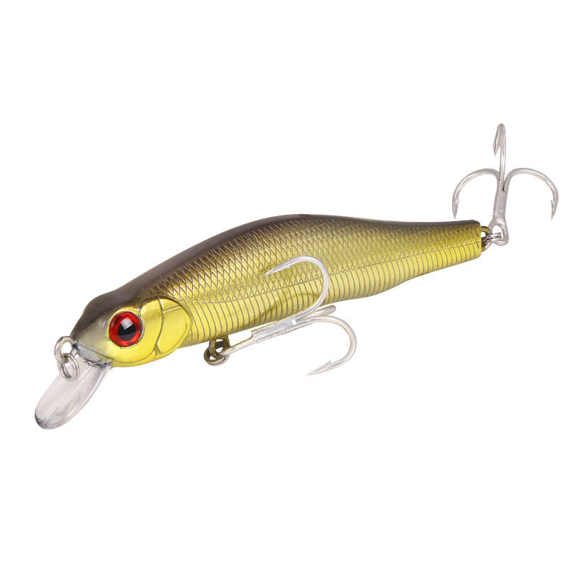 Fishing Baits & Lures 