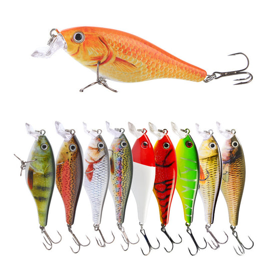 Fishing Baits & Lures