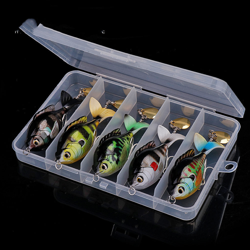 Fishing Baits & Lures