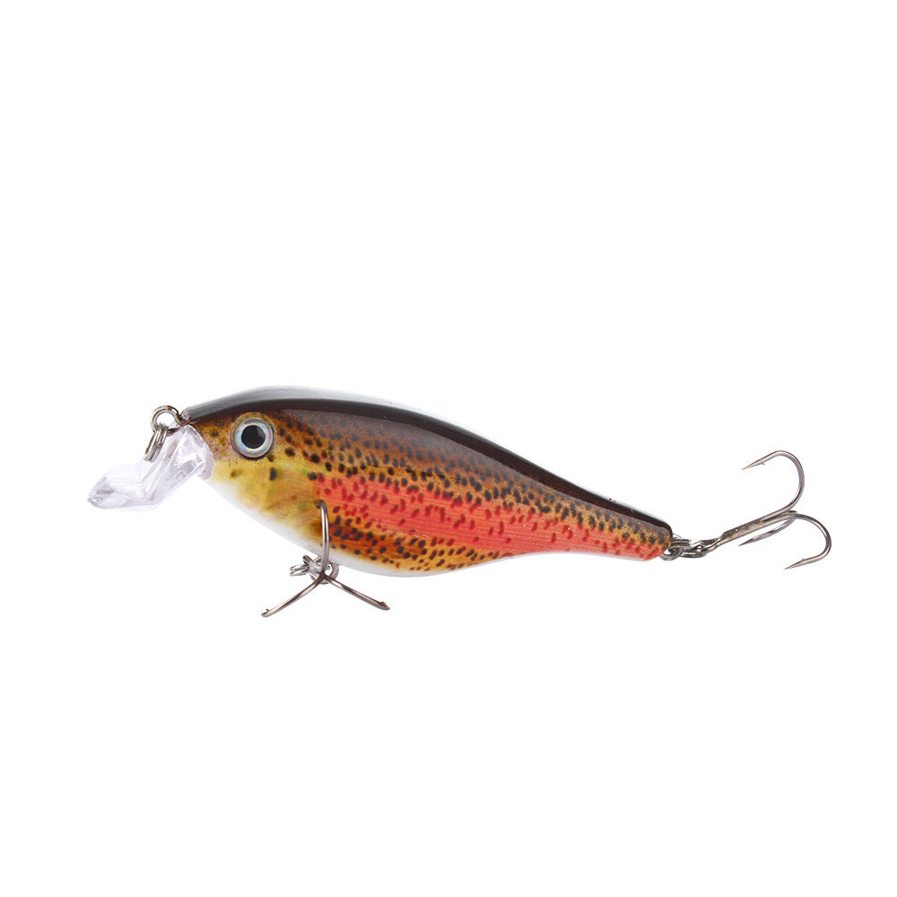 Fishing Baits & Lures