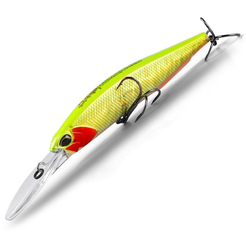 Fishing Baits & Lures