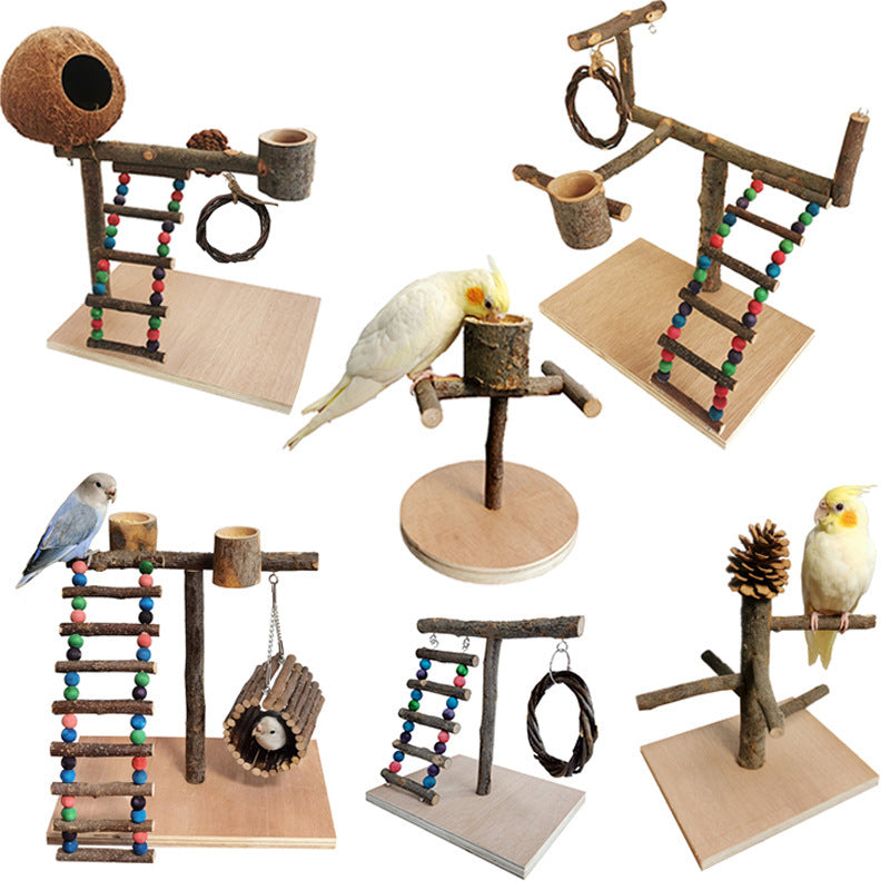 Bird Toys