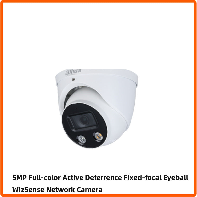 Surveillance Cameras