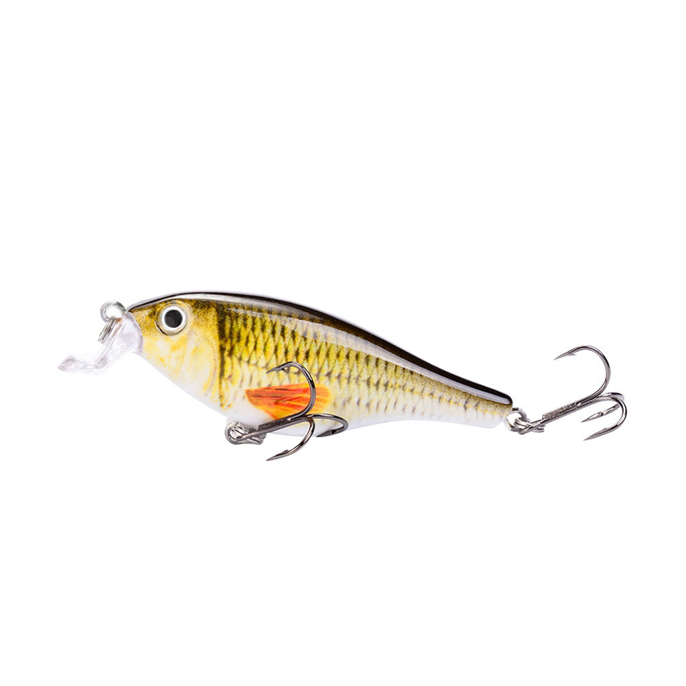 Fishing Baits & Lures