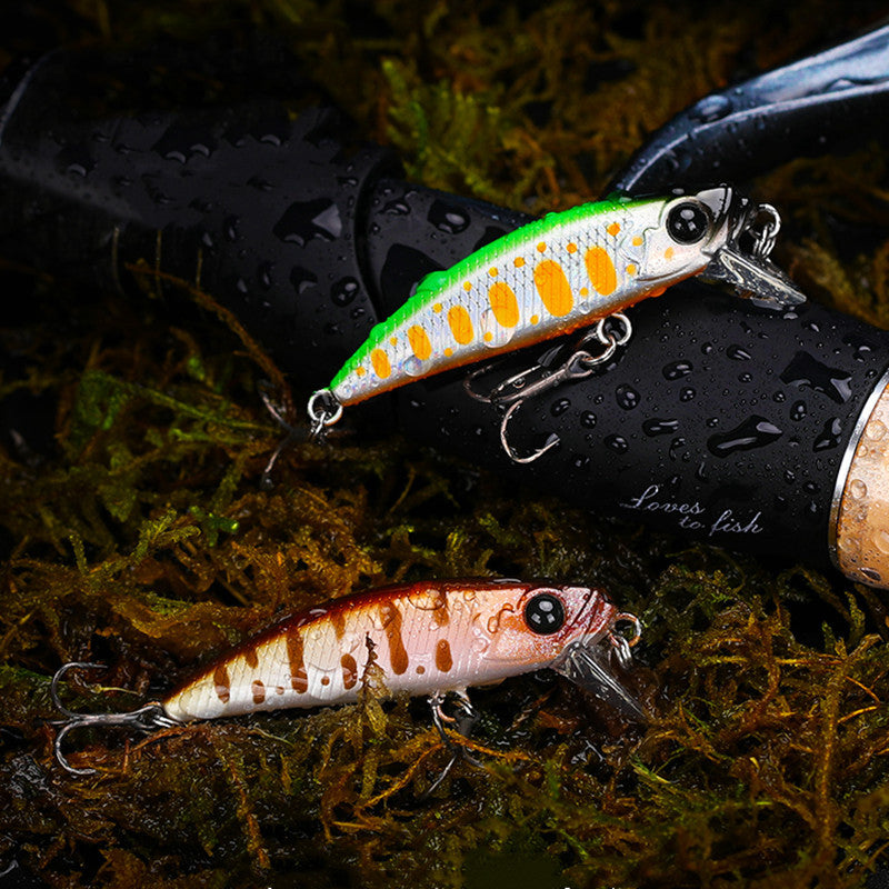 Fishing Baits & Lures