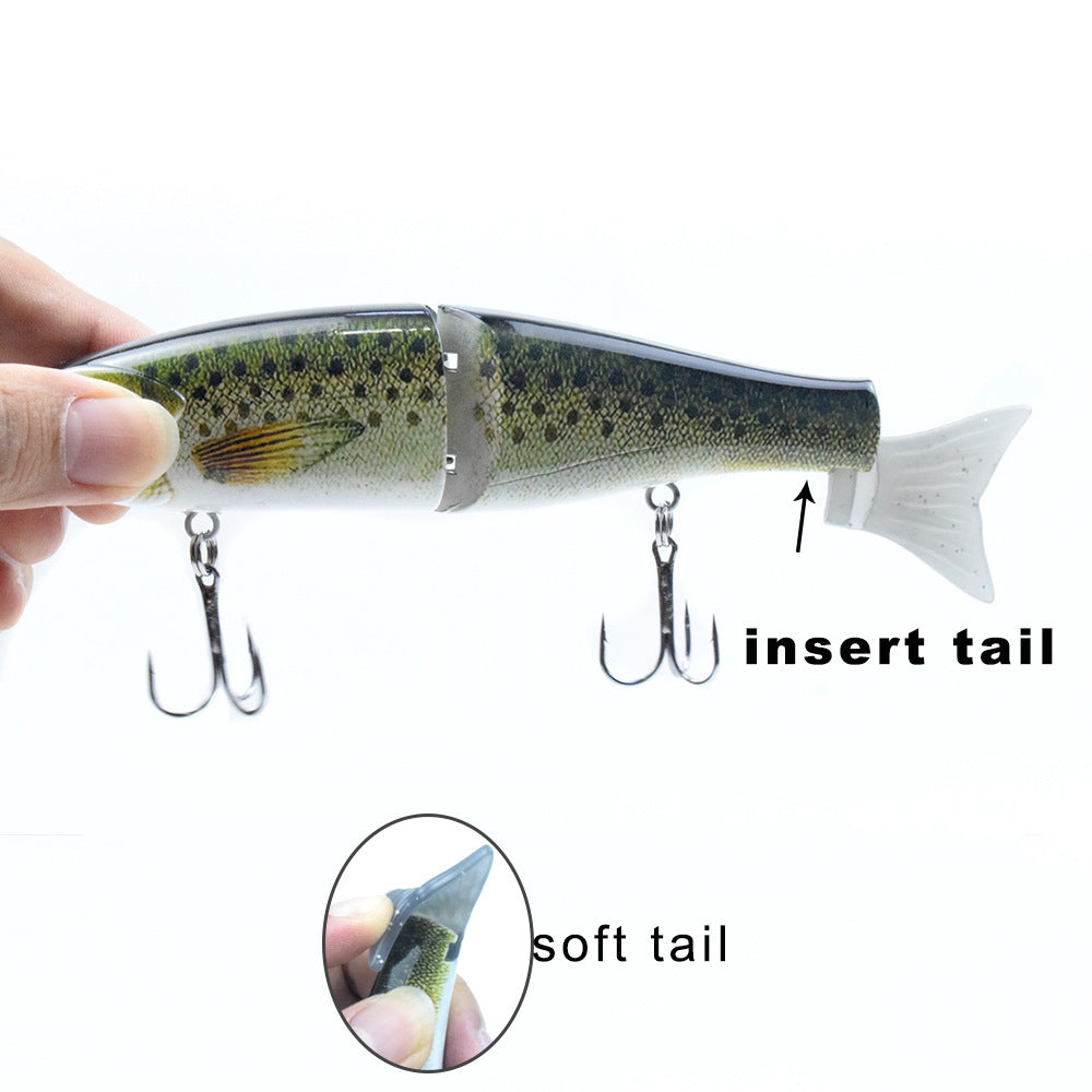 Fishing Baits & Lures