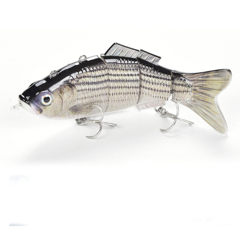 Fishing Baits & Lures 