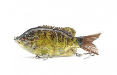 Fishing Baits & Lures