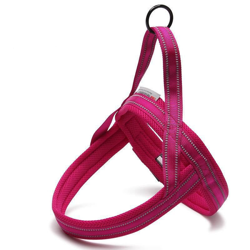 Pet Collars & Harnesses