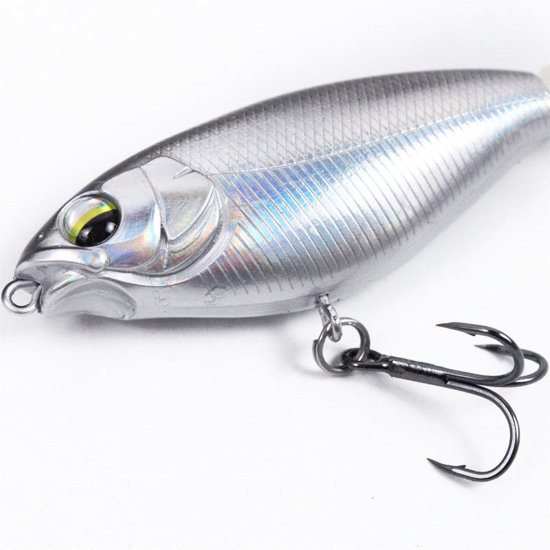 Fishing Baits & Lures 