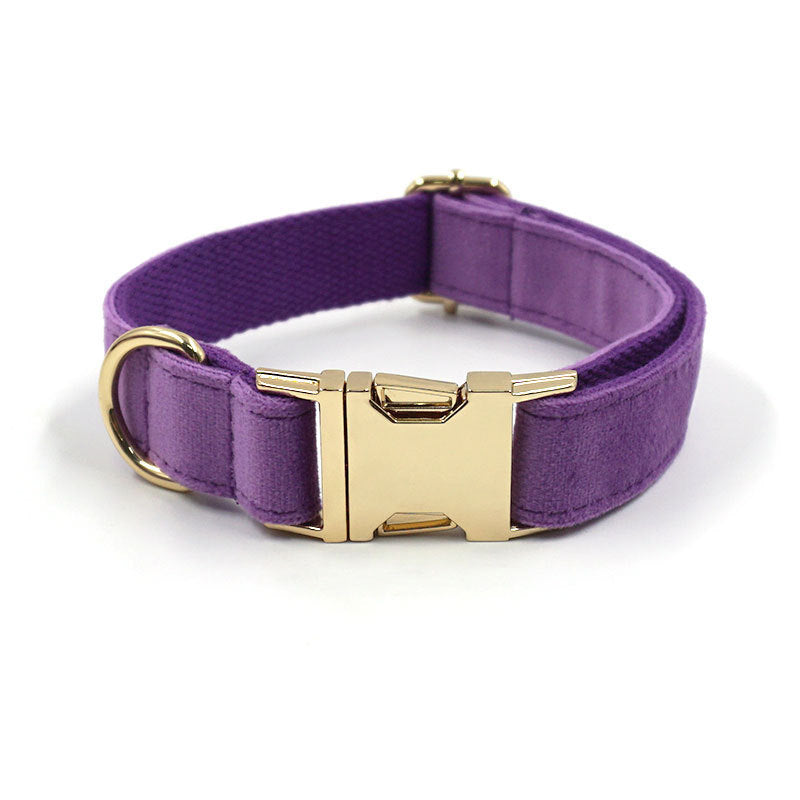 Pet Collars & Harnesses