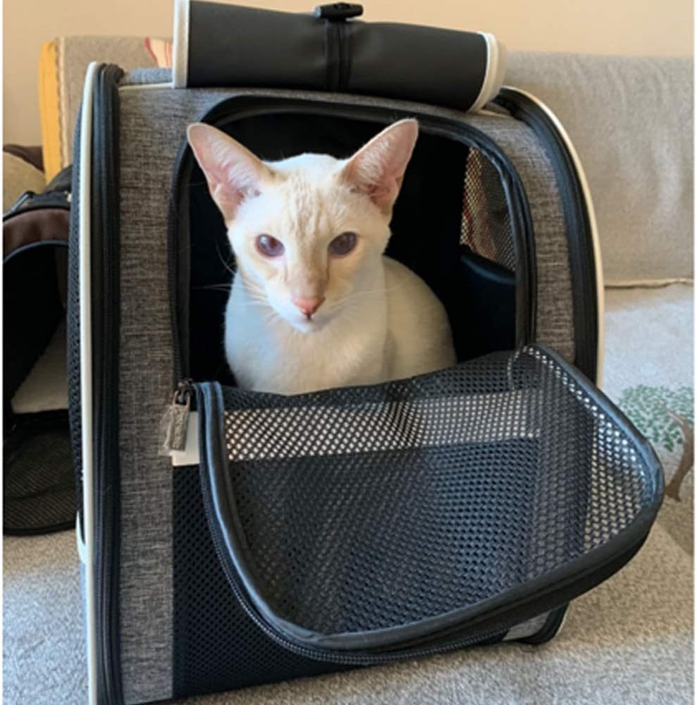 Backpack Pet Carriers