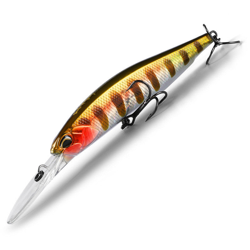 Fishing Baits & Lures