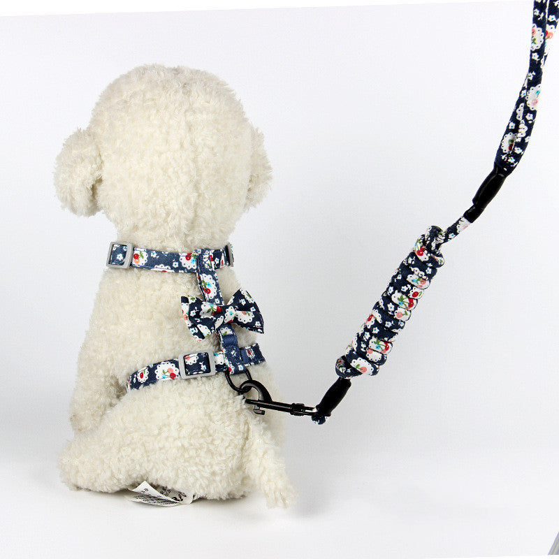 Pet Collars & Harnesses