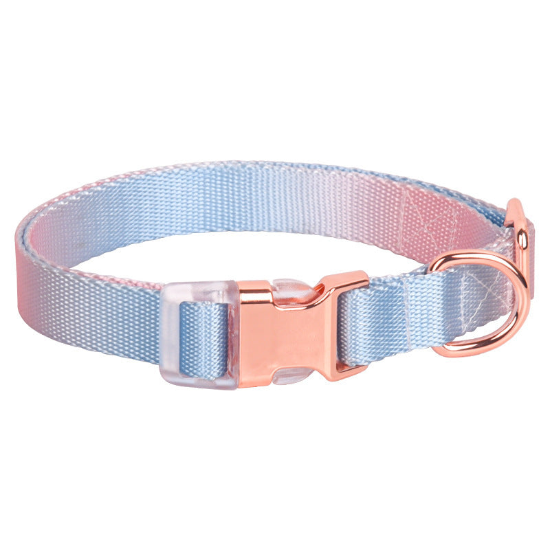 Collier en nylon réglable pour chien et chat, petit collier pour chien, dégradé, accessoire tendance pour petits, moyens et grands chiens