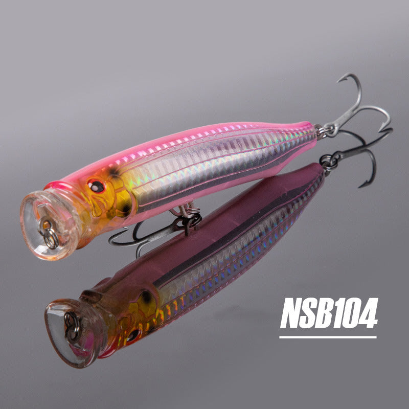 Fishing Baits & Lures