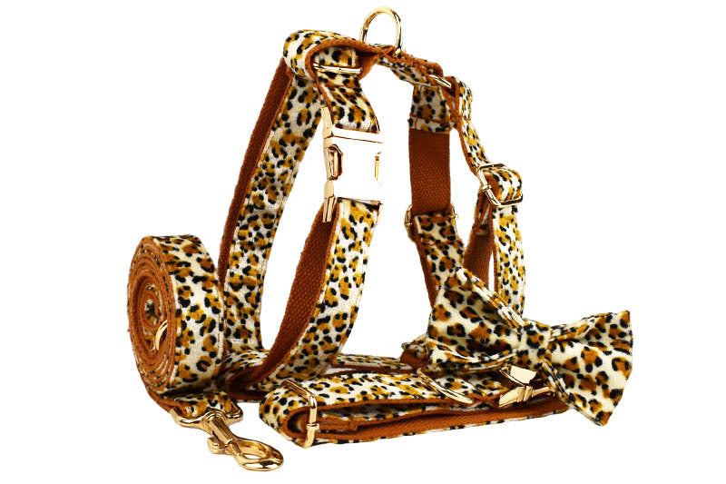 Dog Leash Pet Leopard Print Collar