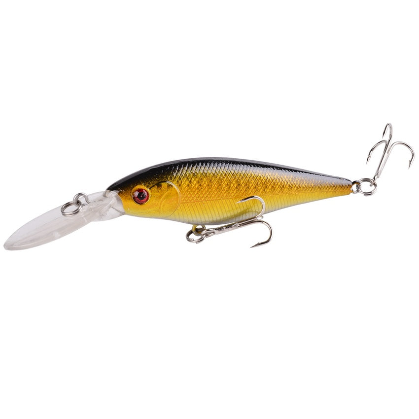 Fishing Baits & Lures