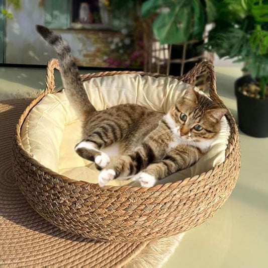 Natural Woven Cat Bed