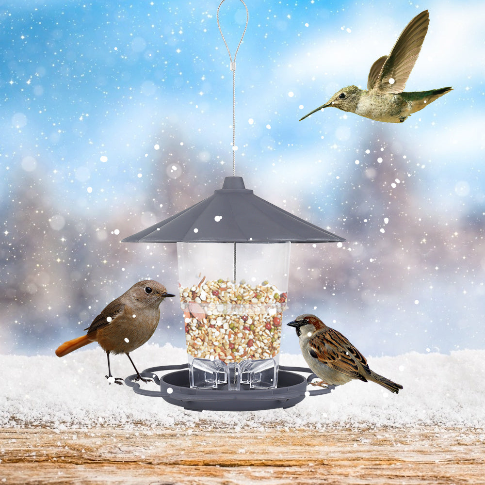 Bird Feeders