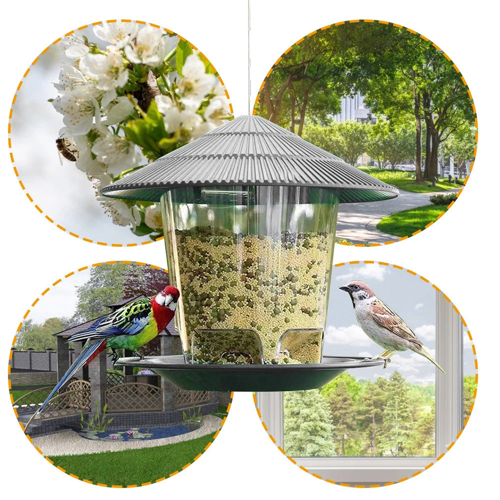 Bird Feeders