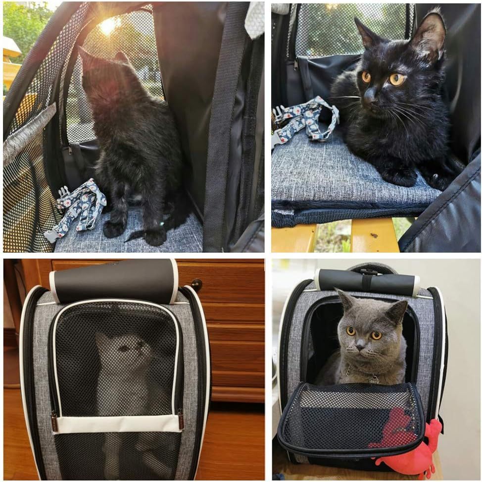 Backpack Pet Carriers