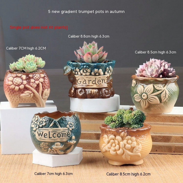 Pots & Planters