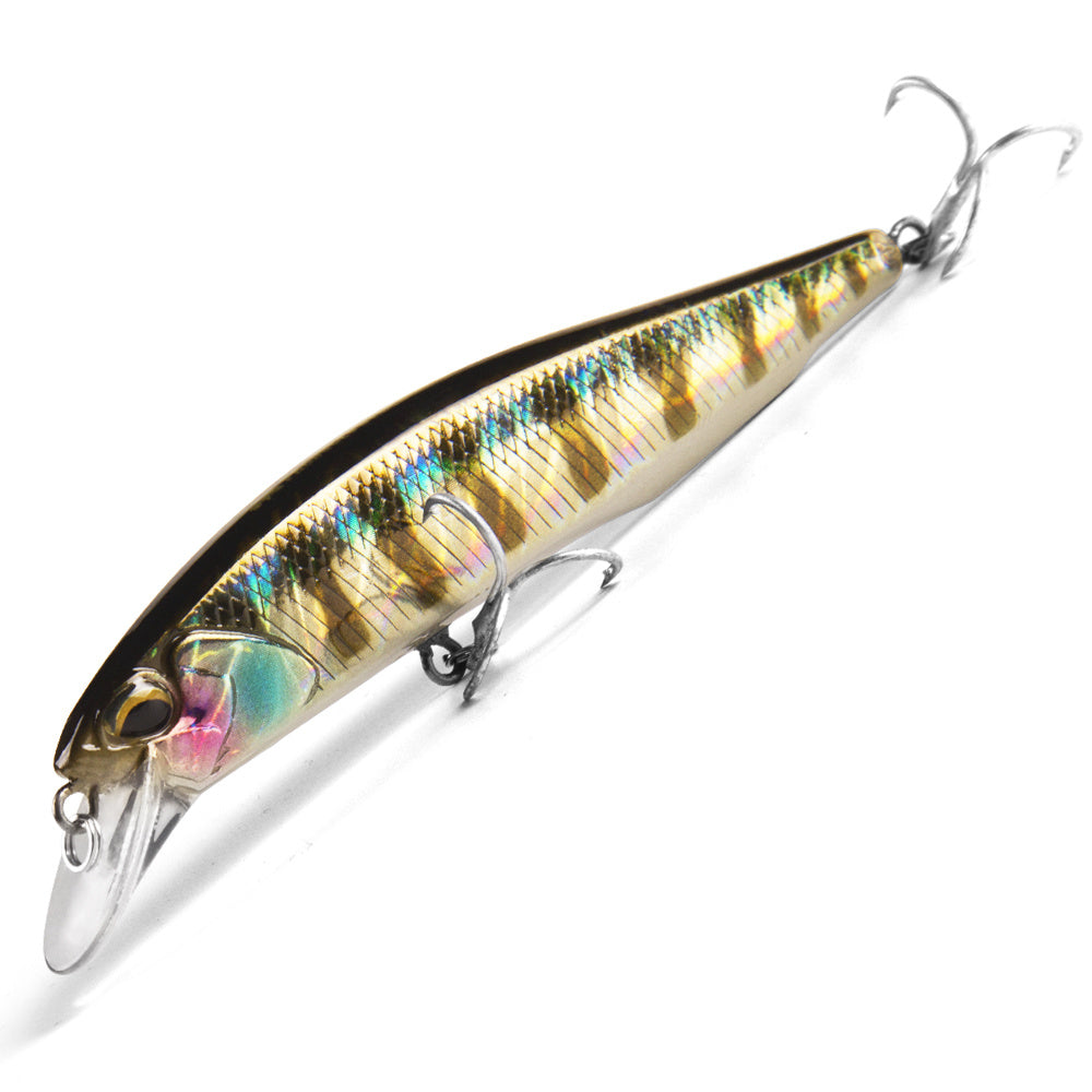 Fishing Baits & Lures 