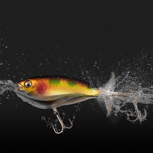 Fishing Baits & Lures 