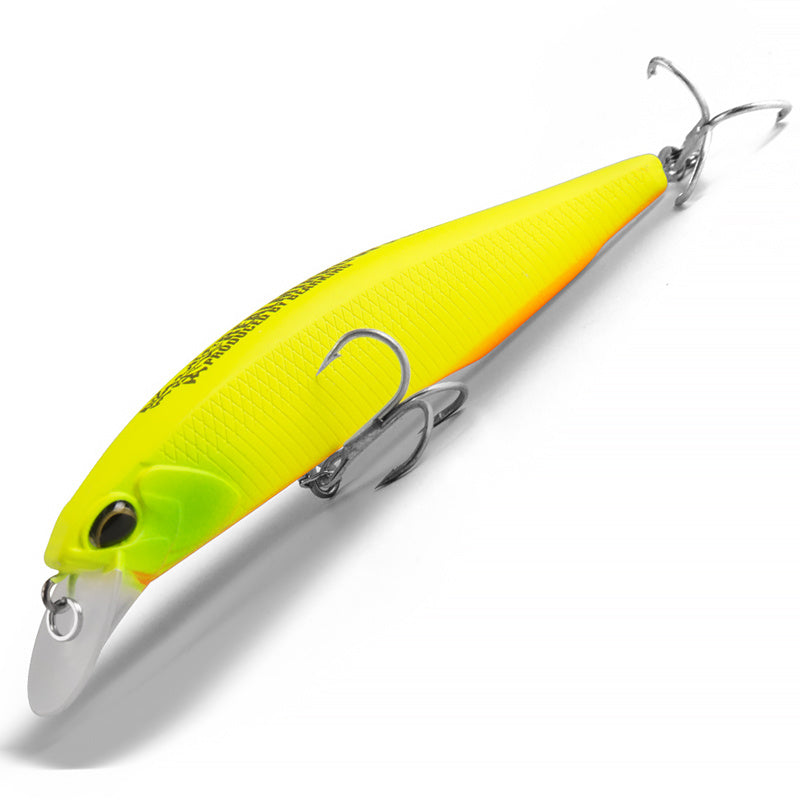 Fishing Baits & Lures 